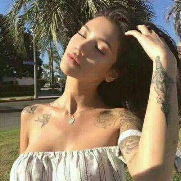 元宝派正式上线电脑版